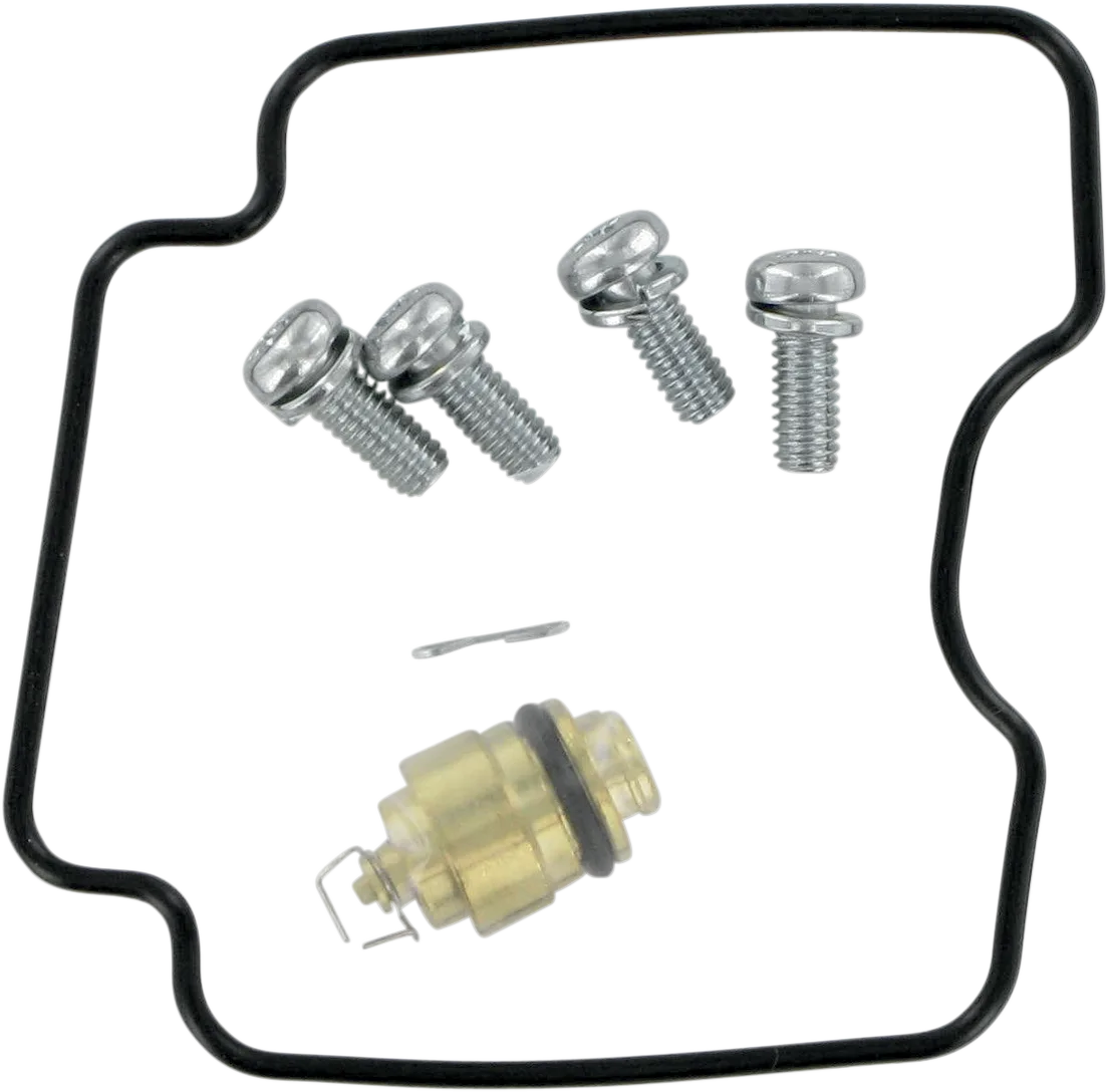 Carburetor Repair Kit
