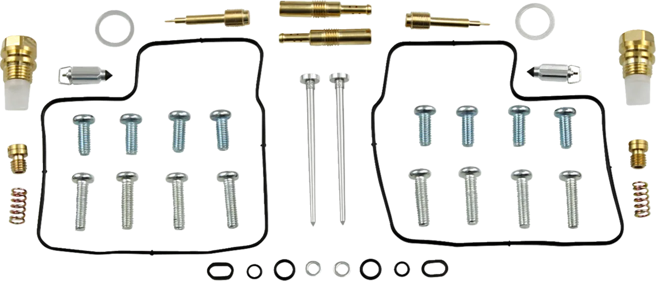 Carburetor Repair Kit