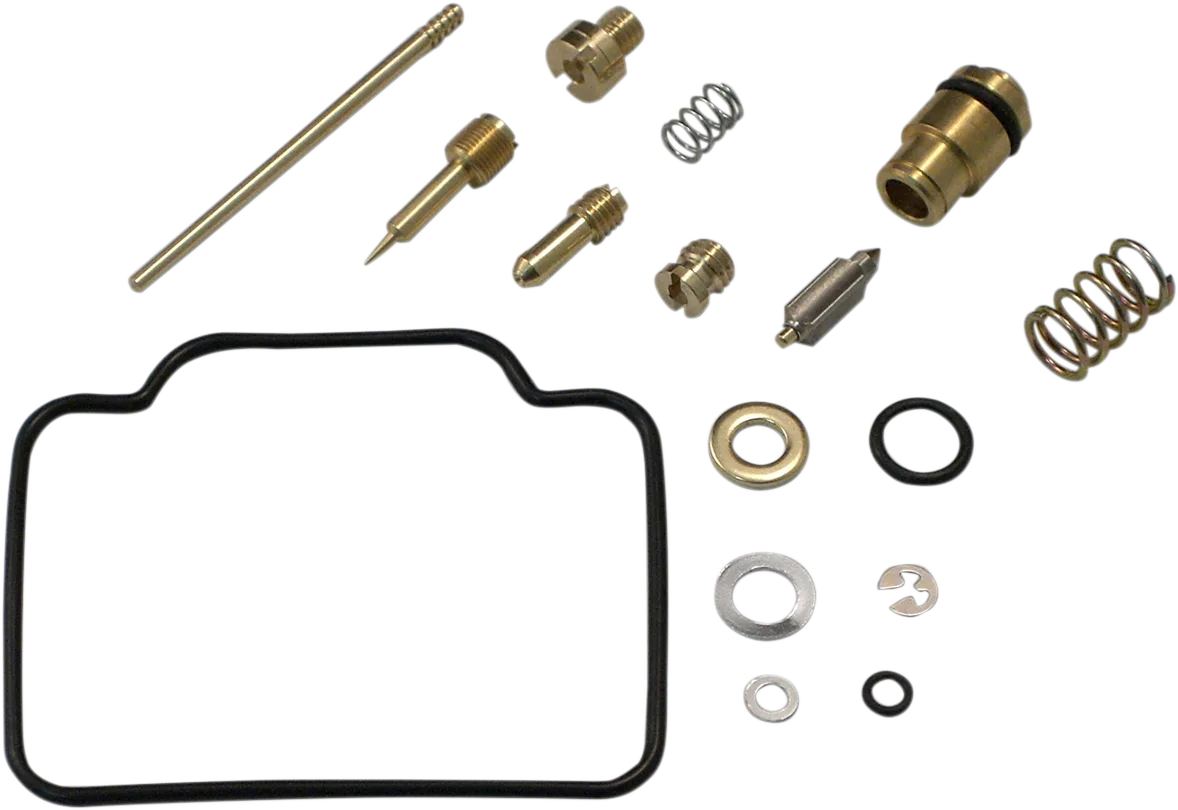 Carburetor Repair Kit