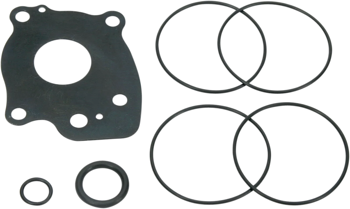 Oil Pump Rebuild Kit