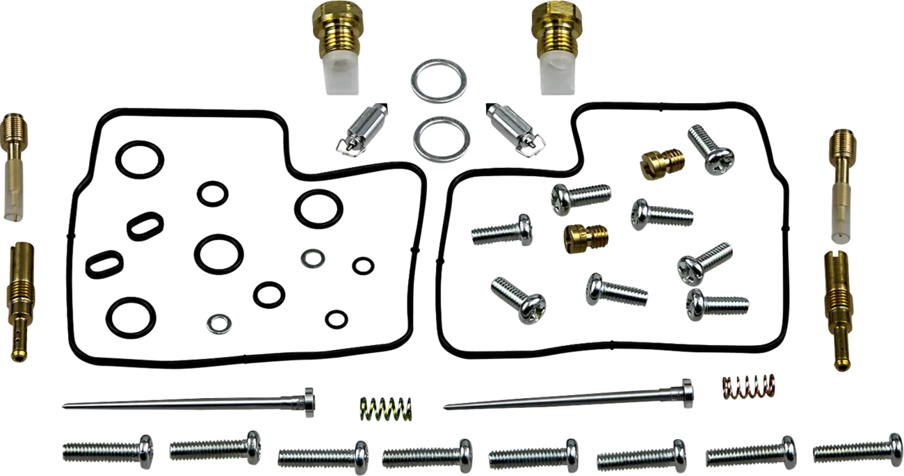Carburetor Repair Kit