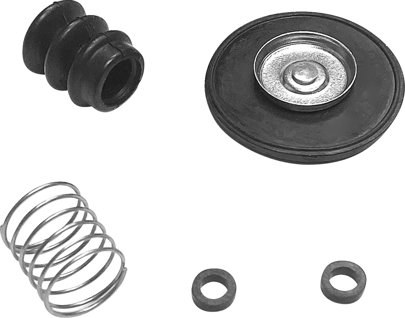 Diaphragm Rebuild Kit