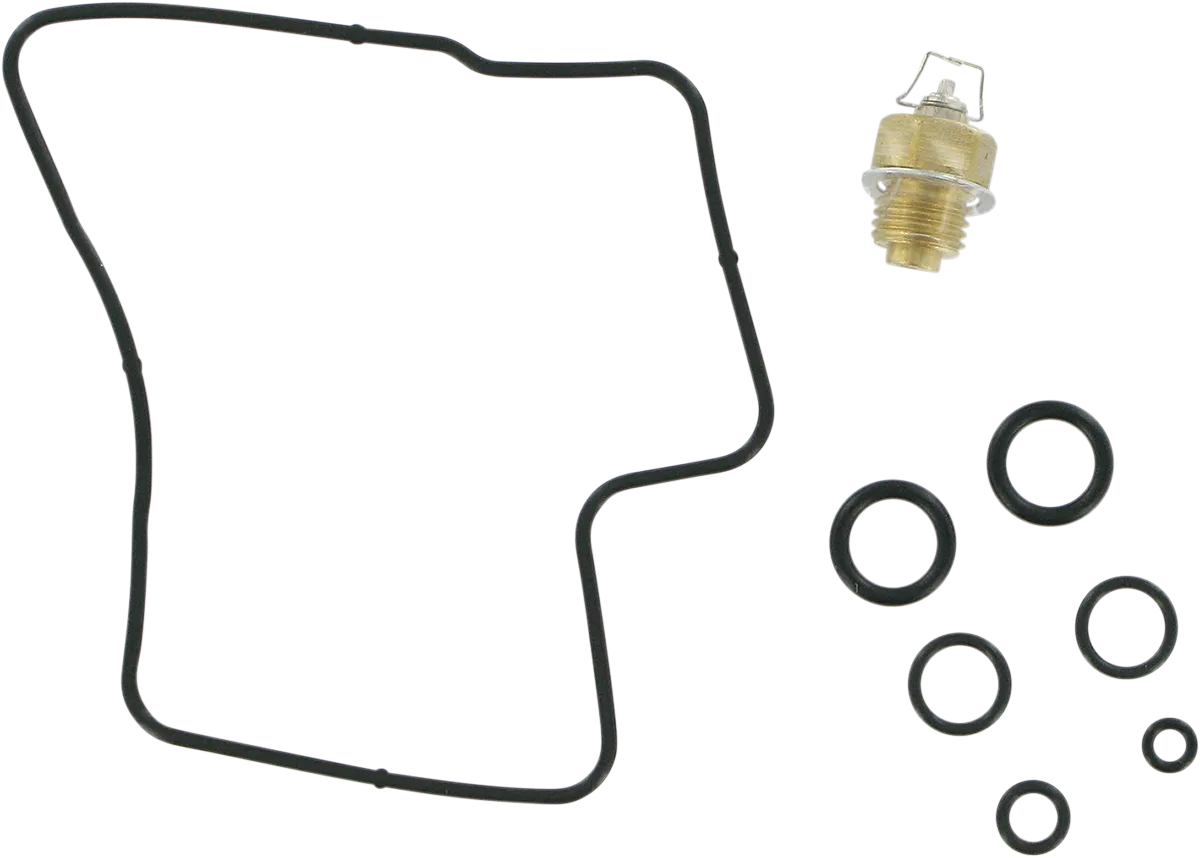 Carburetor Repair Kit
