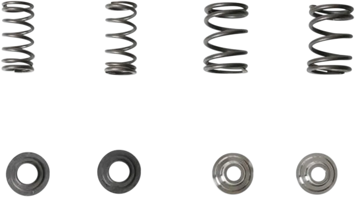 Lightweight Racing Valve Spring Kit