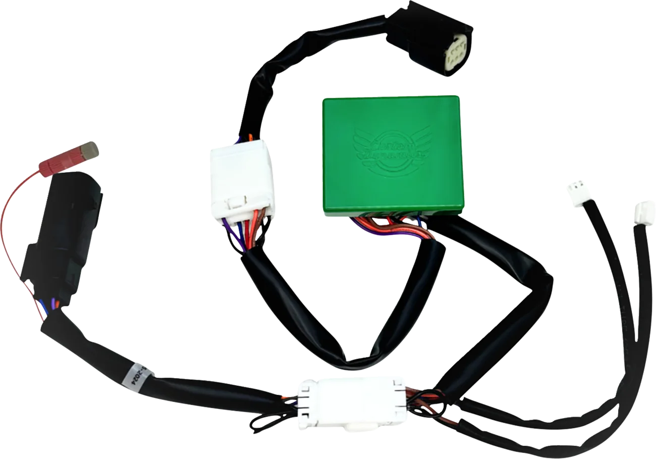 SMART Triple Play® Module