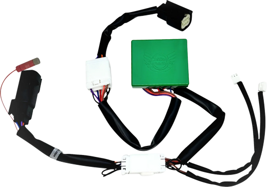 SMART Triple Play® Module