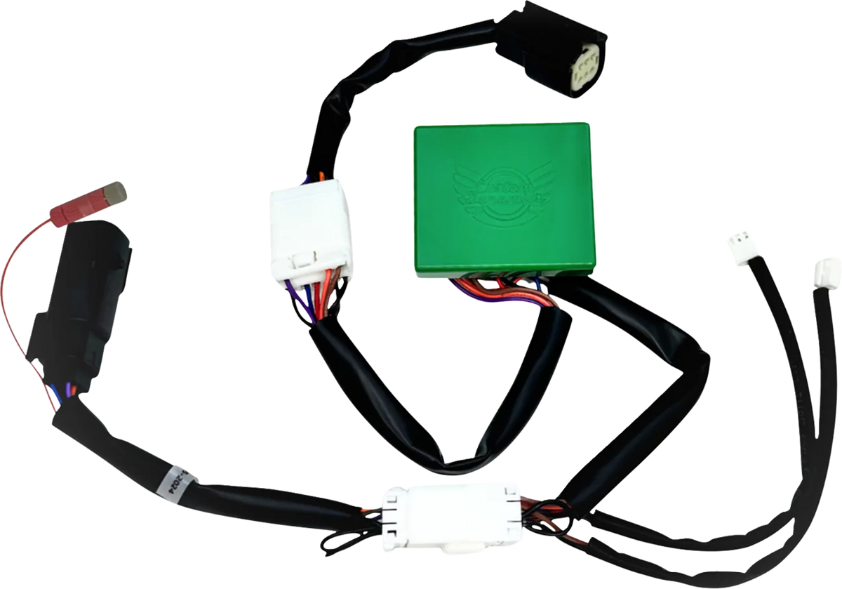 SMART Triple Play® Module