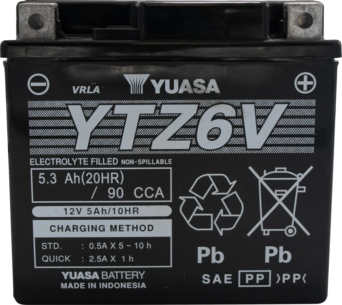 AGM Maintenance-Free Battery