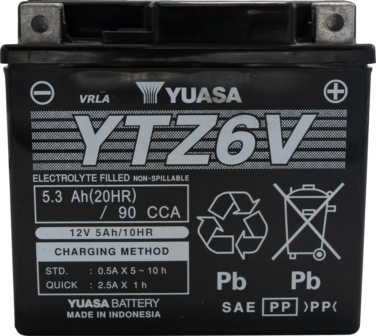 AGM Maintenance-Free Battery