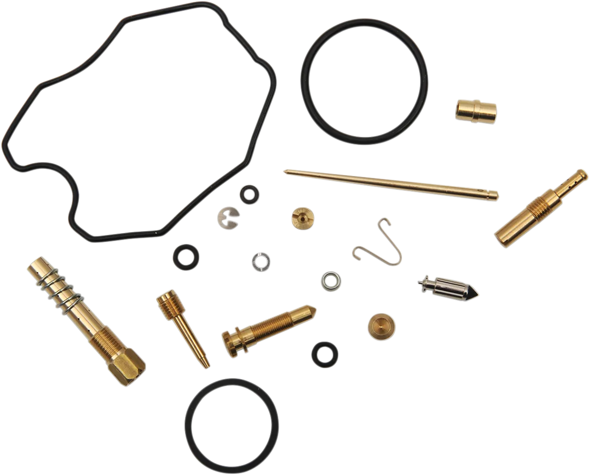 Carburetor Repair Kit
