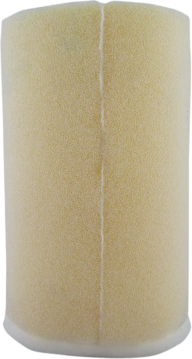 Pre-Oiled Air Filter