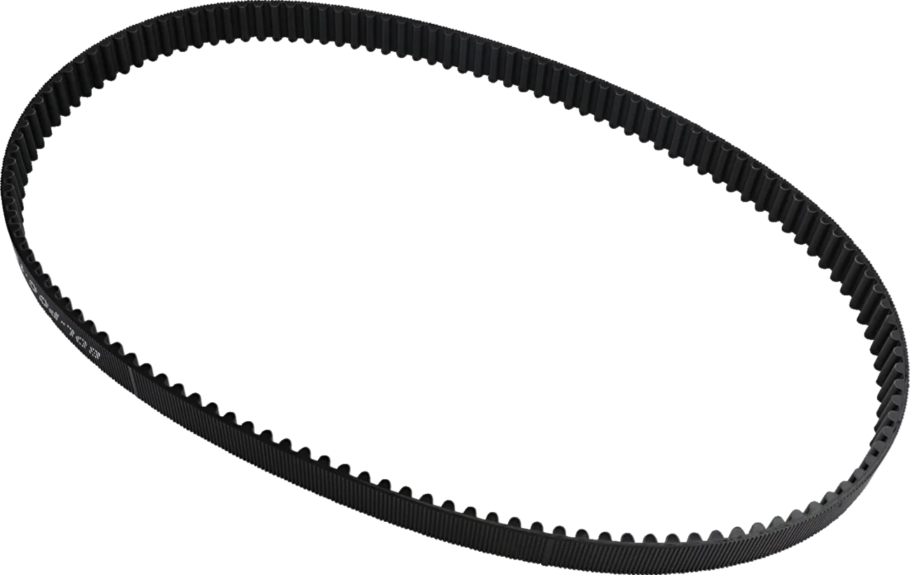 Rear Drive Belt