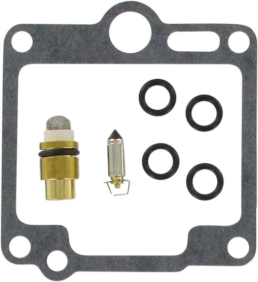 Carburetor Repair Kit