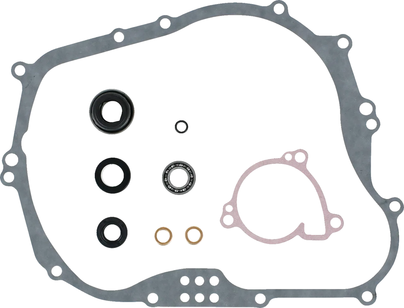Water Pump Rebuild Kit