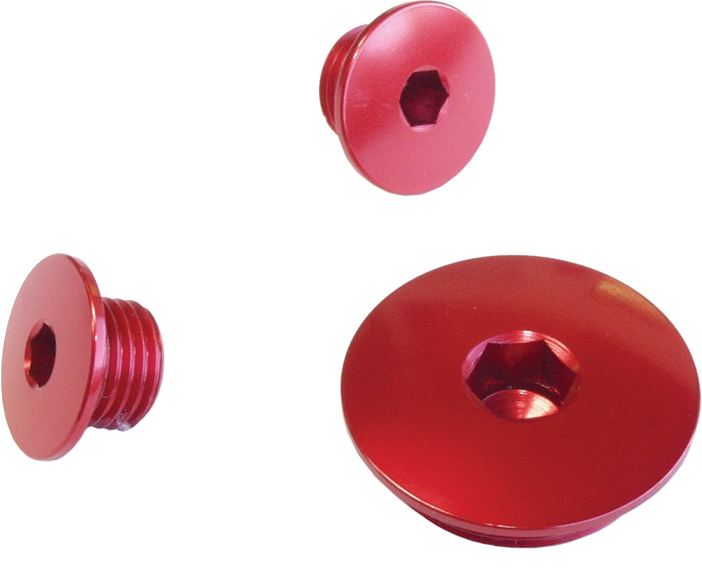 Engine Plug
