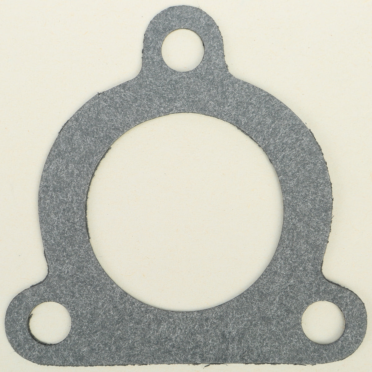 Intake/Reed Valve Gasket