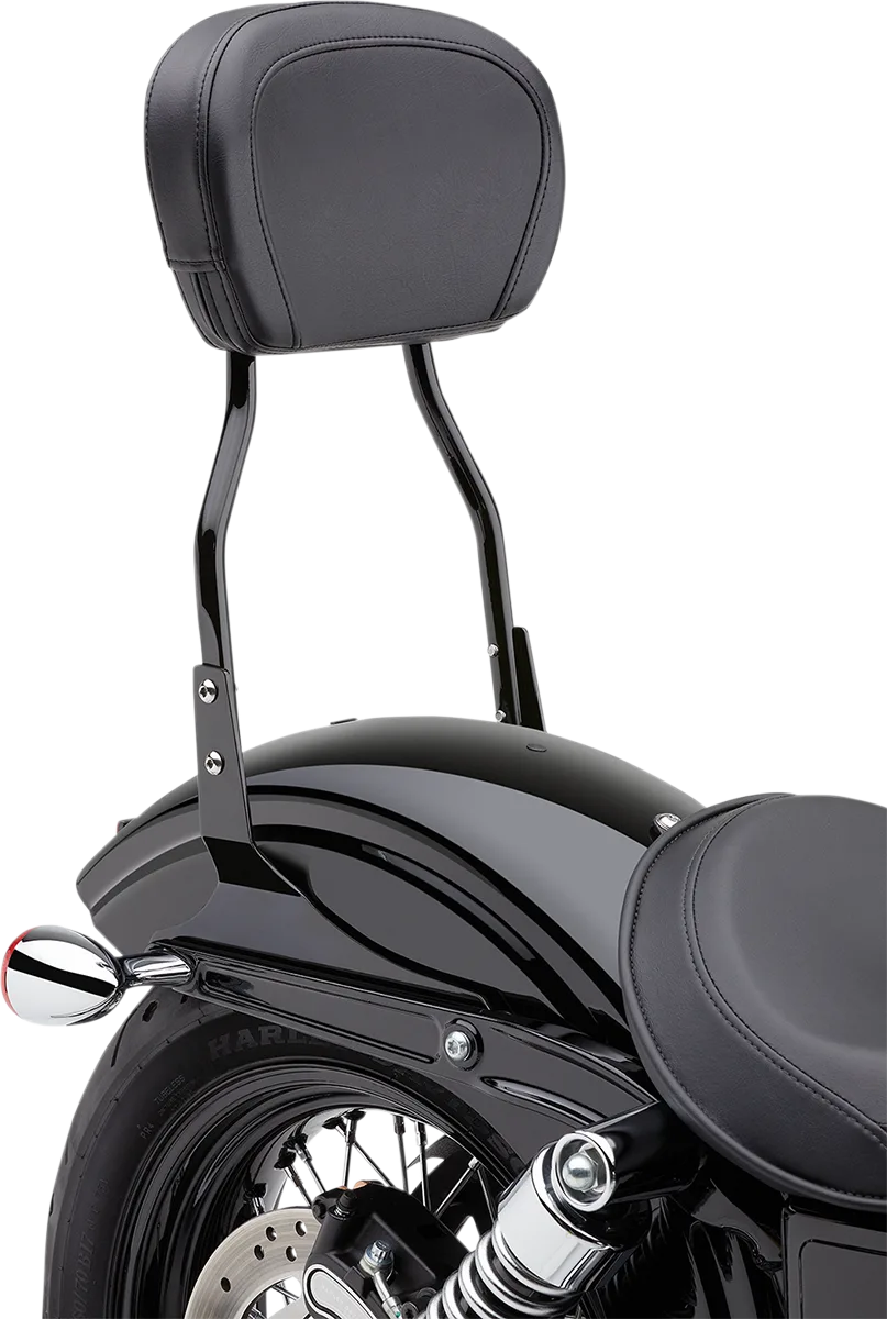 Round Sissy Bar