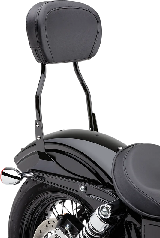 Round Sissy Bar