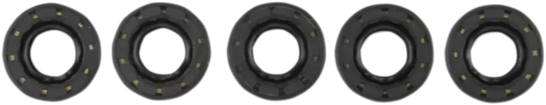 Shifter Shaft Seal
