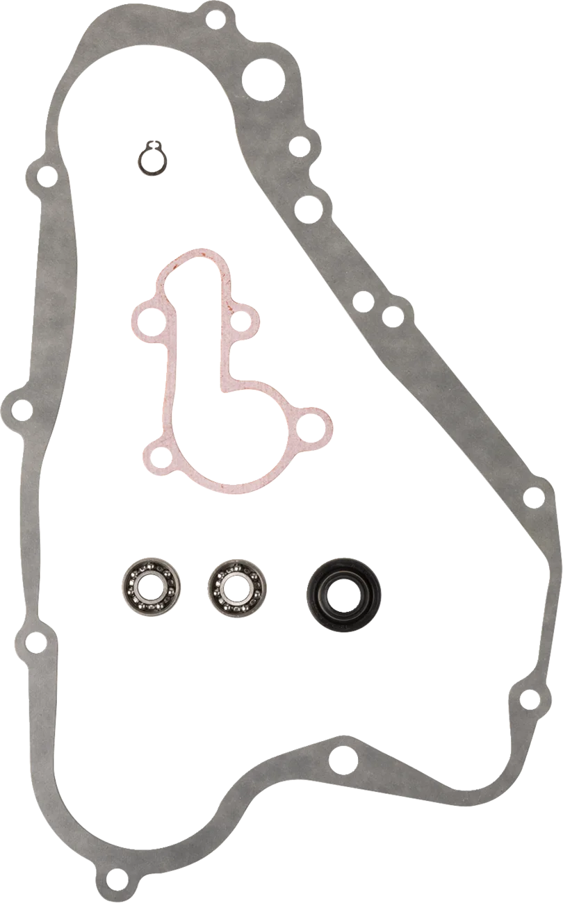 Water Pump Rebuild Kit