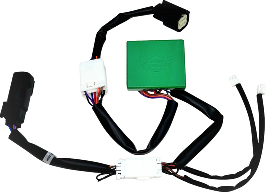 SMART Triple Play® Module