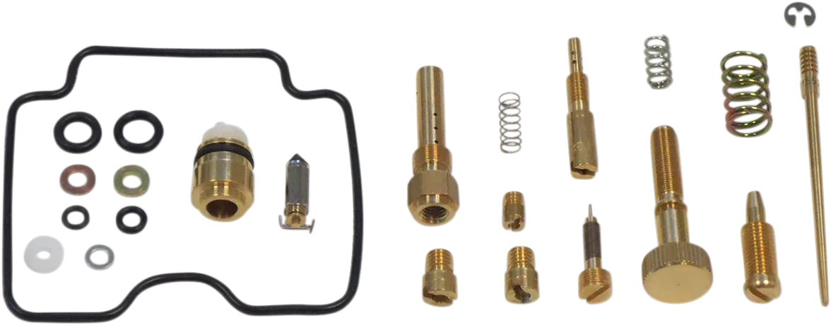 Carburetor Repair Kit