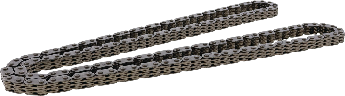 Cam Chain
