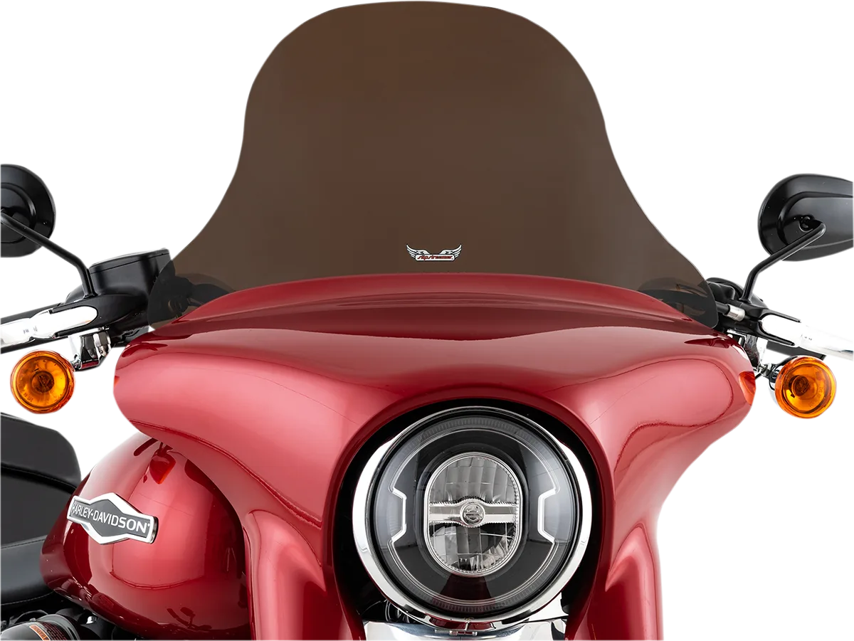 Windshield