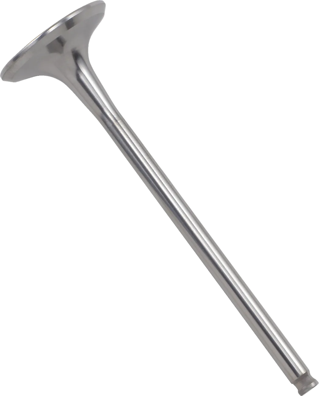 Titanium Engine Valve