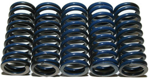 Clutch Springs