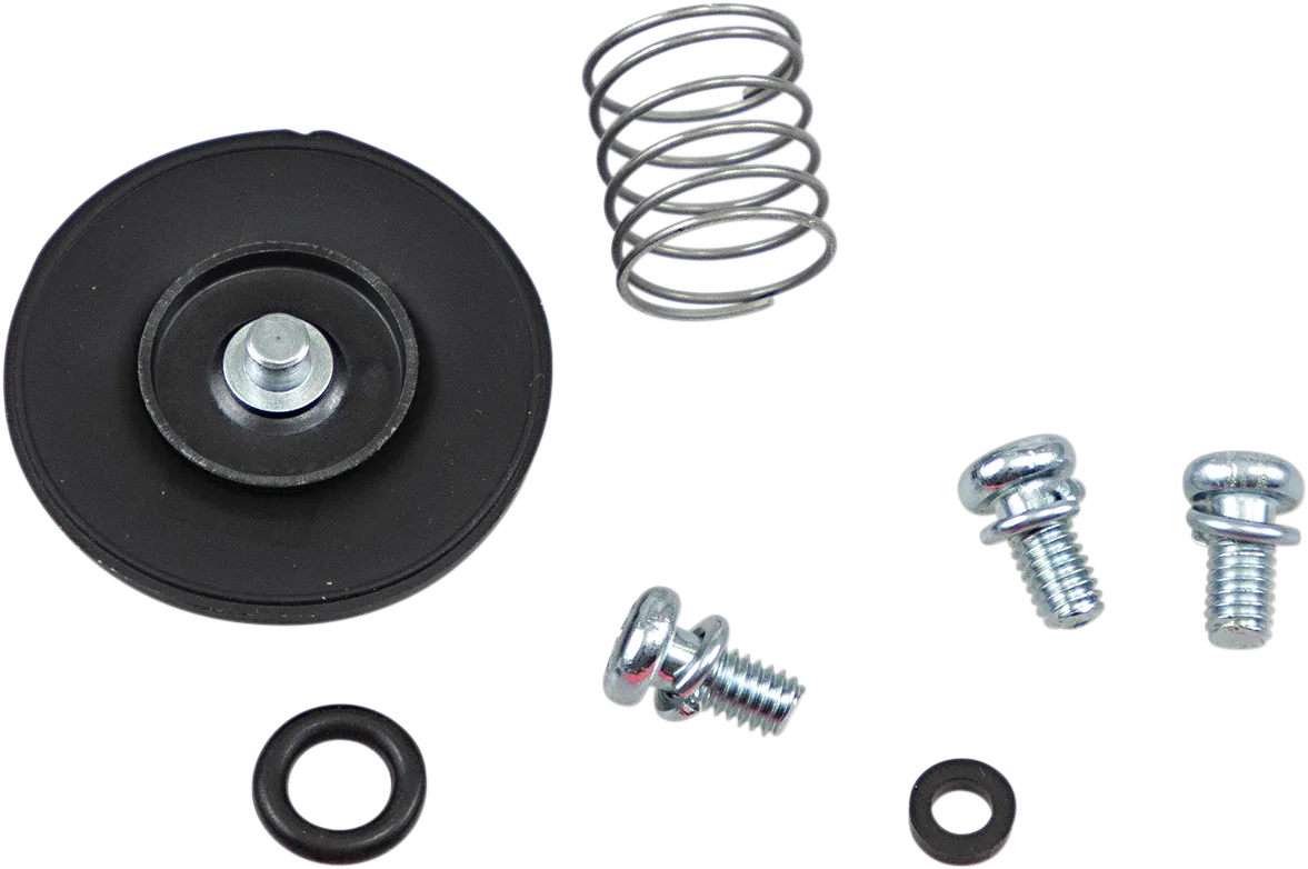 Accelerator Pump Rebuild Kit