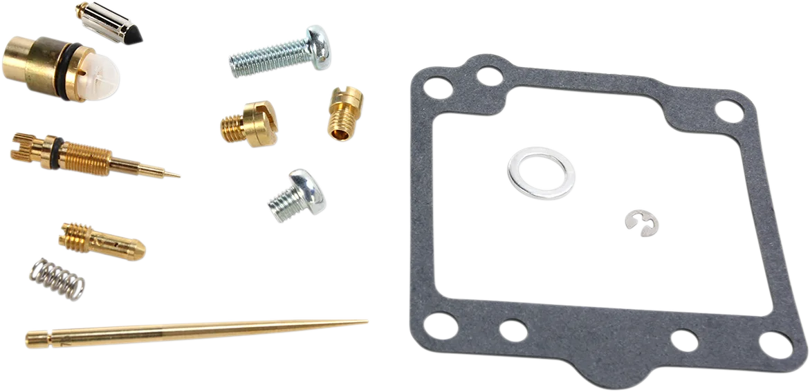 Carburetor Repair Kit