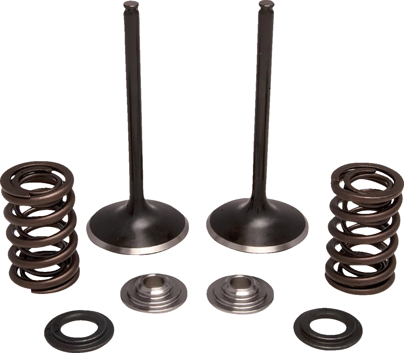 Valve and Spring Kit