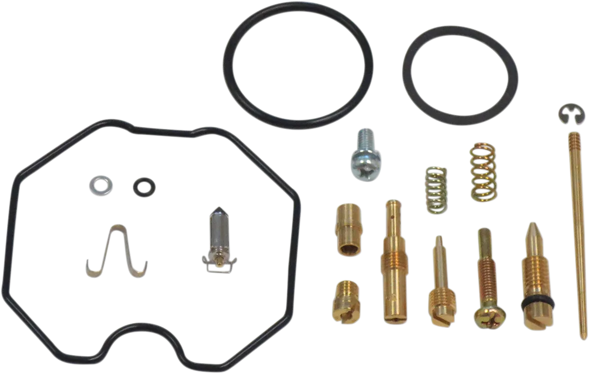 Carburetor Repair Kit
