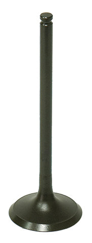 Exhaust Valve
