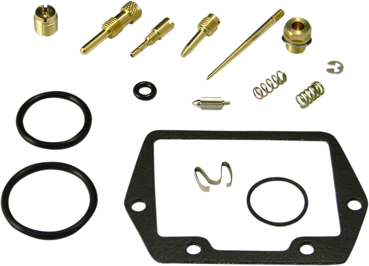 Carburetor Repair Kit