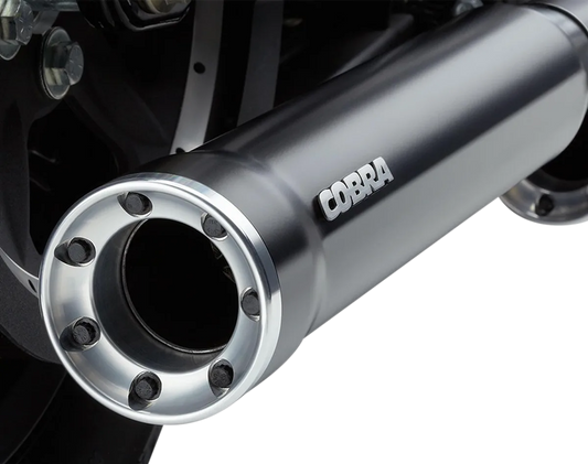 Slip-On Mufflers with Race-Pro Tips