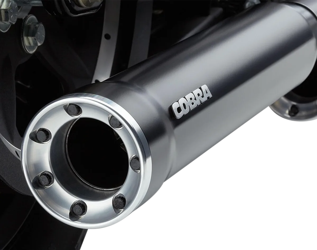 Slip-On Mufflers with Race-Pro Tips