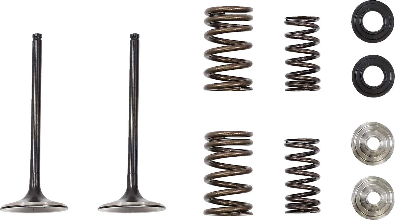 Intake Valve and Spring Kit