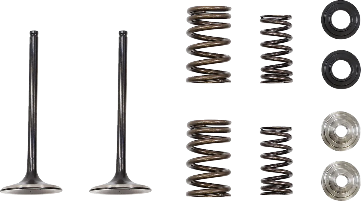 Intake Valve and Spring Kit