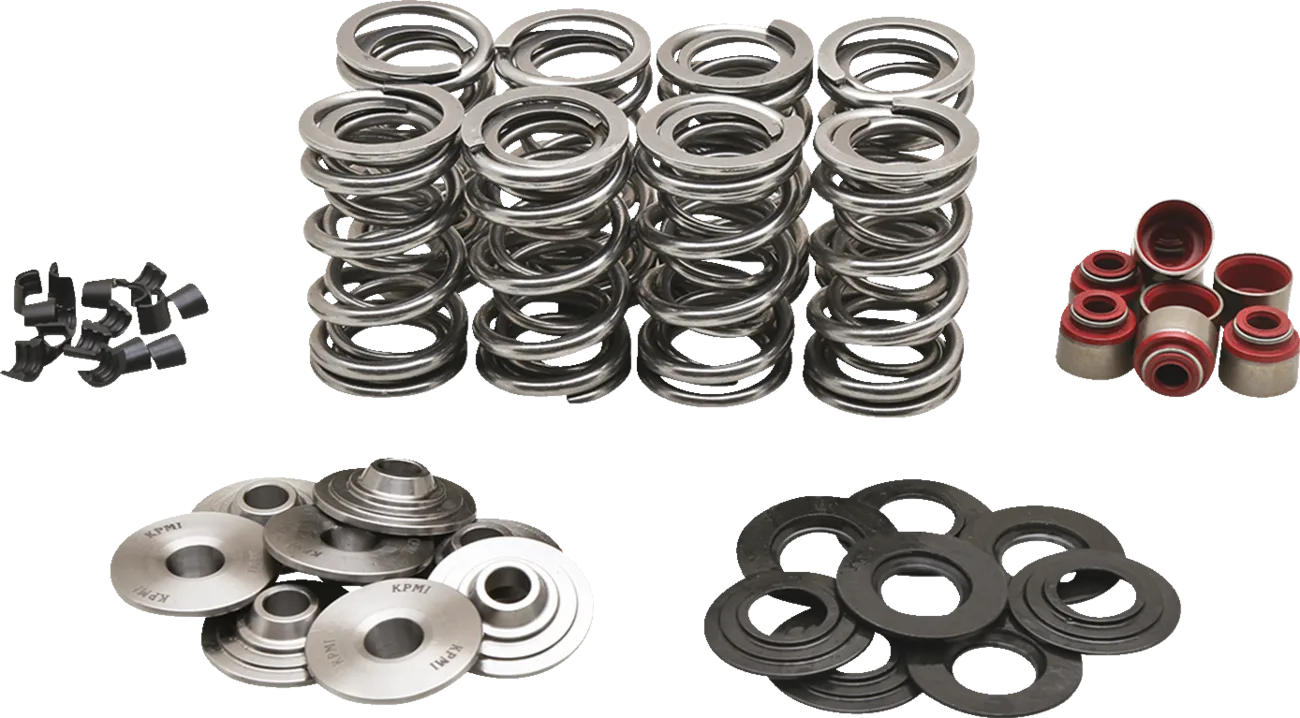 Valve Spring Kit
