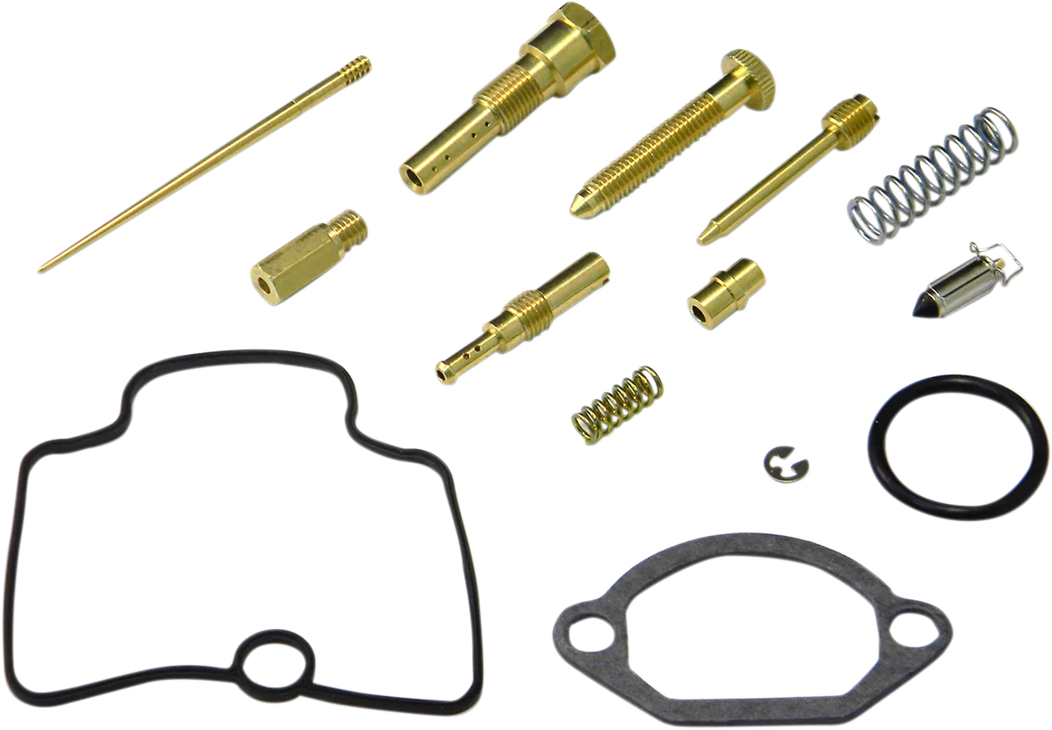Carburetor Repair Kit