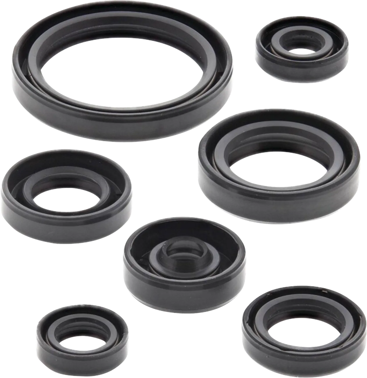 Engine Oil Seal Kit