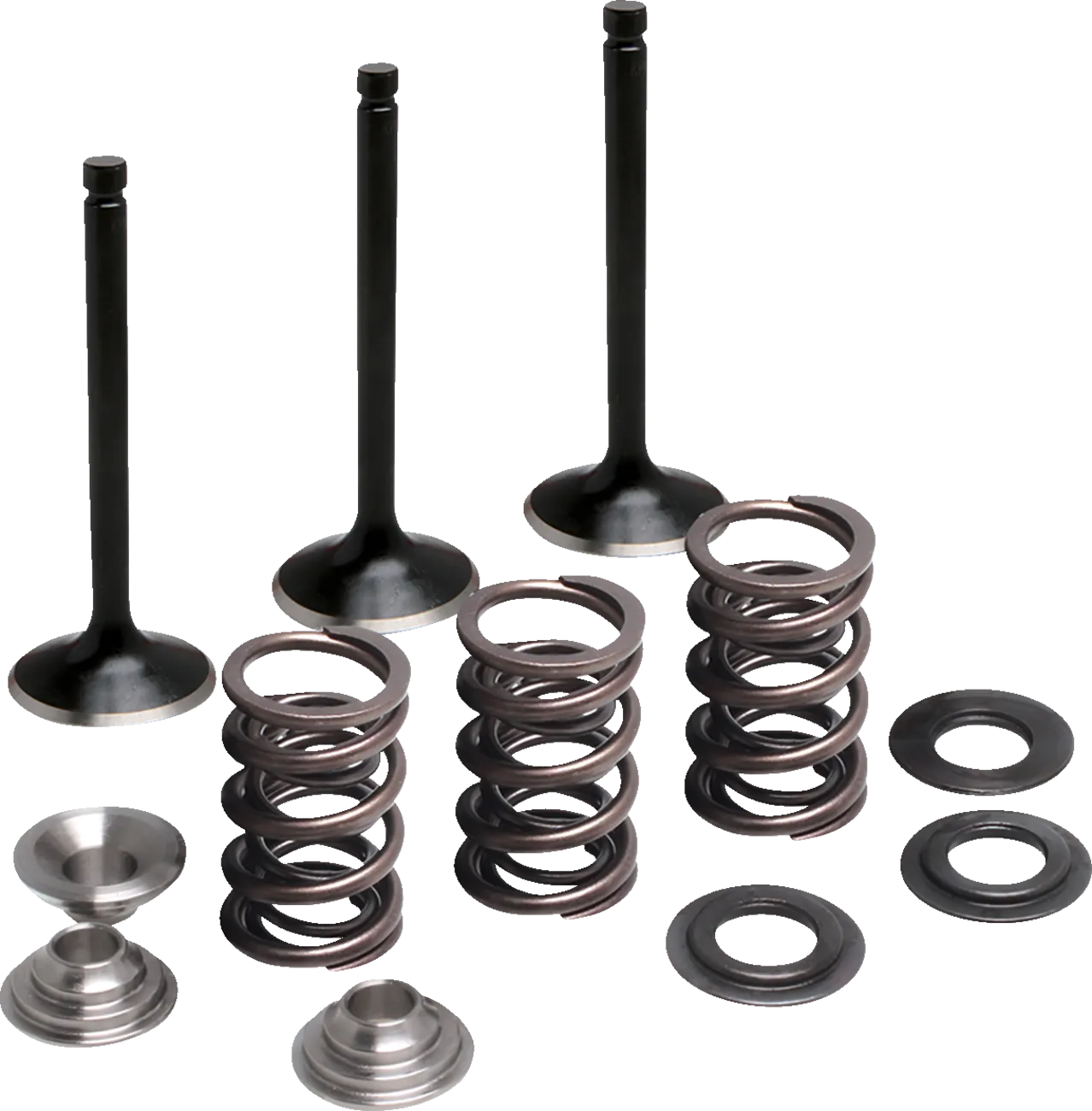 Valve and Spring Kit
