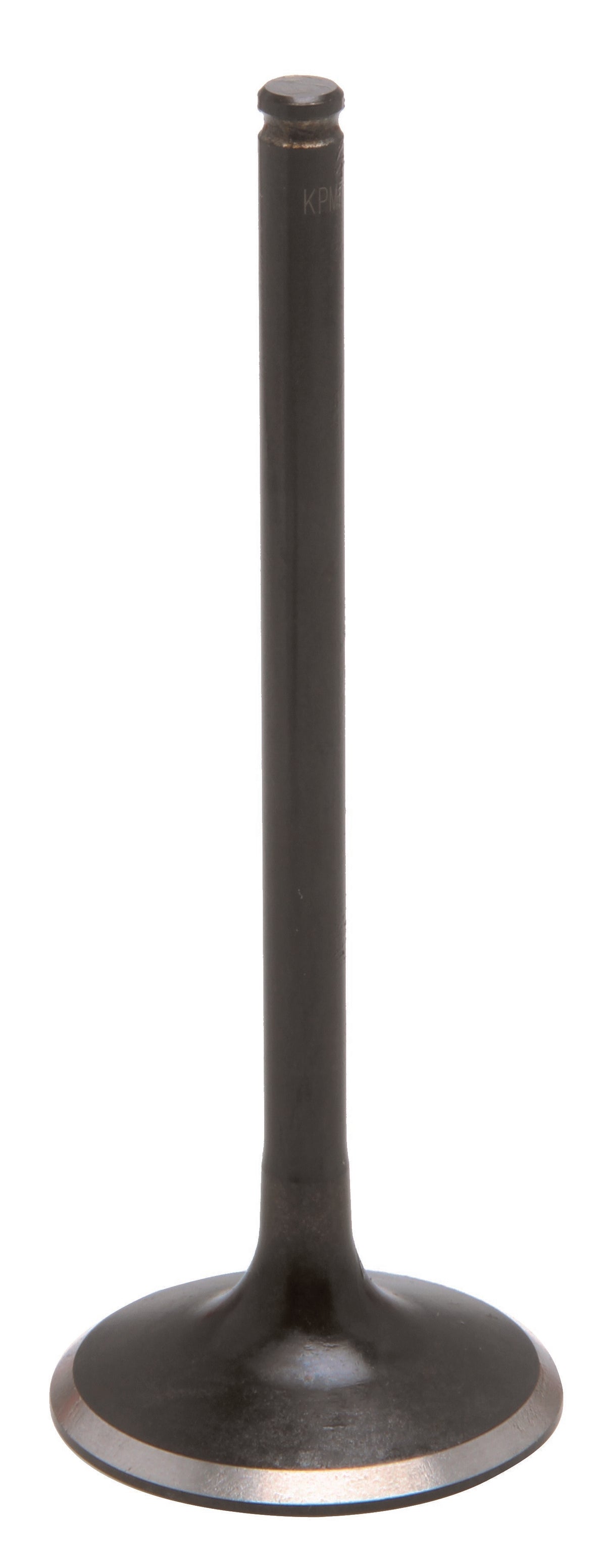 Exhaust Valve