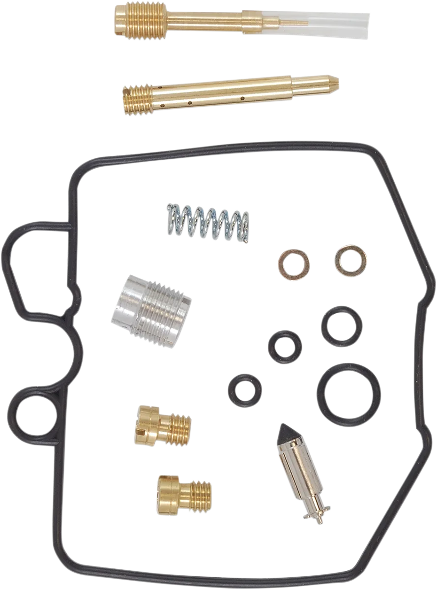 Carburetor Repair Kit