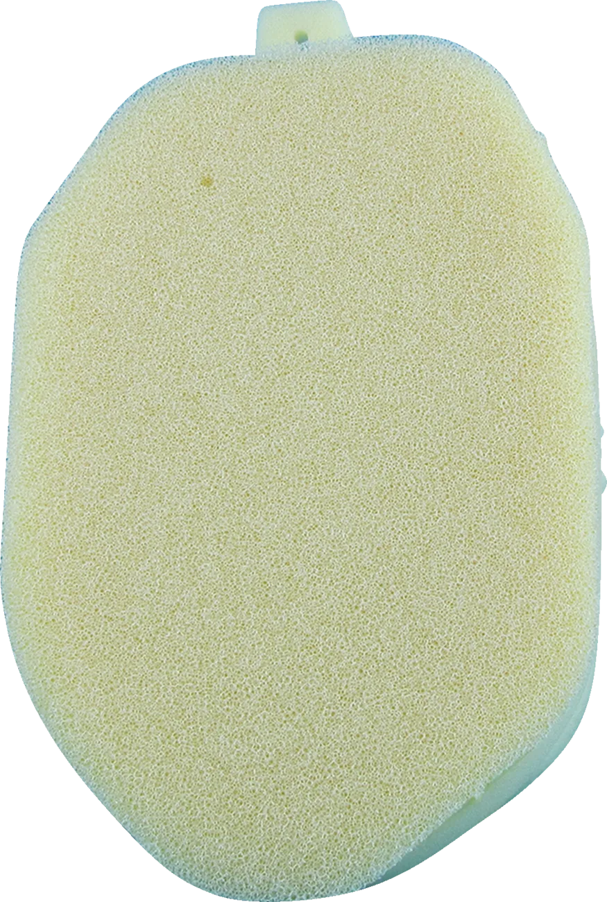 Foam Air Filter