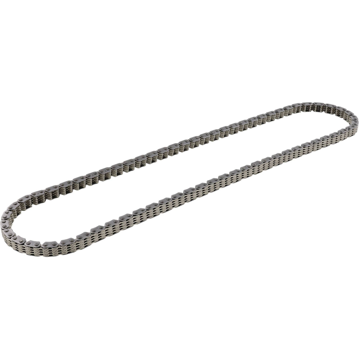 Cam Chain