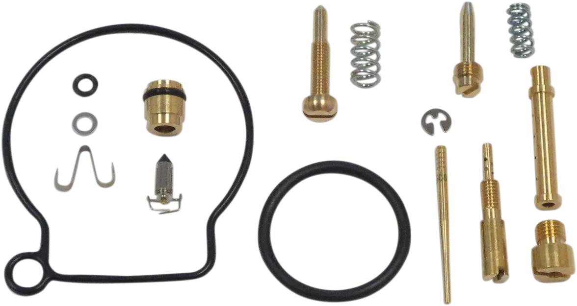 Carburetor Repair Kit