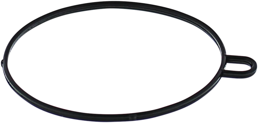 Replacement Float Bowl Gasket